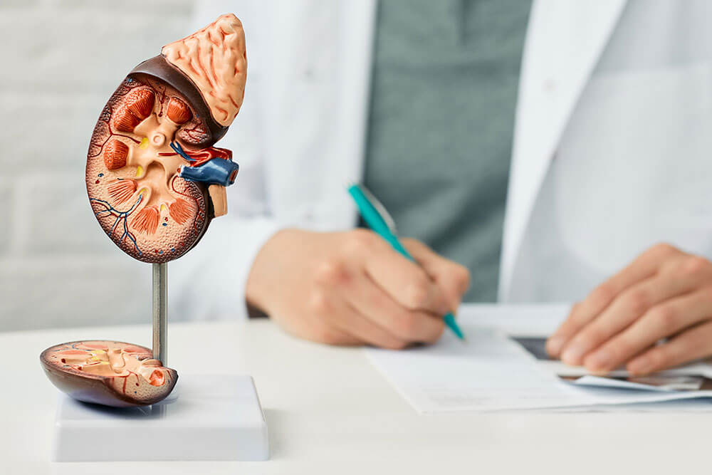 image pathologie urologie